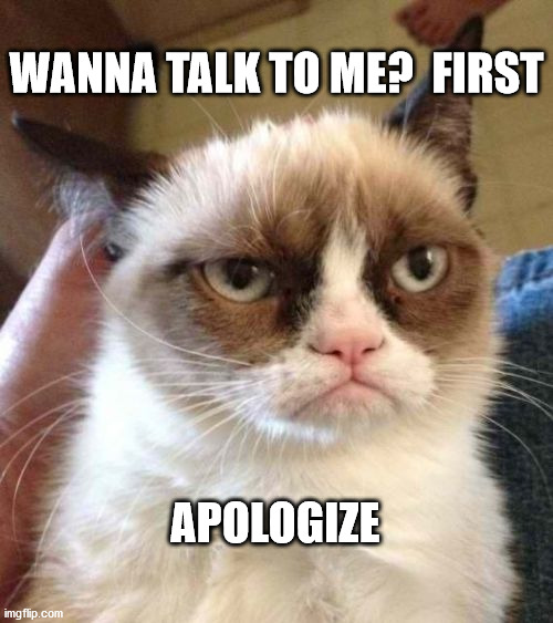 Grumpy Cat Reverse | WANNA TALK TO ME?  FIRST; APOLOGIZE | image tagged in memes,grumpy cat reverse,grumpy cat | made w/ Imgflip meme maker
