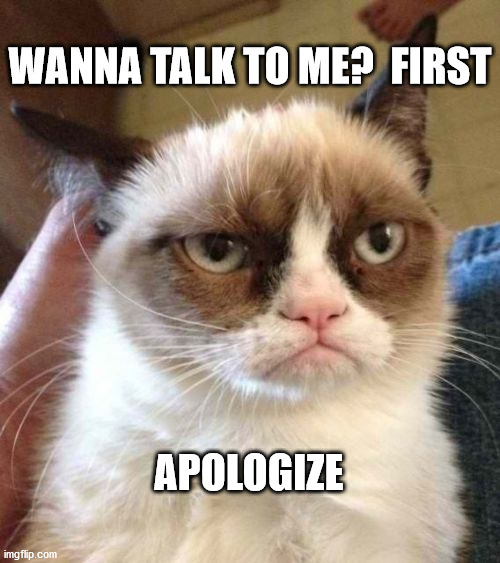 Grumpy Cat Reverse Meme | WANNA TALK TO ME?  FIRST; APOLOGIZE | image tagged in memes,grumpy cat reverse,grumpy cat | made w/ Imgflip meme maker