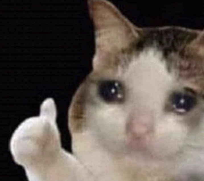 High Quality Finger cry cat Blank Meme Template