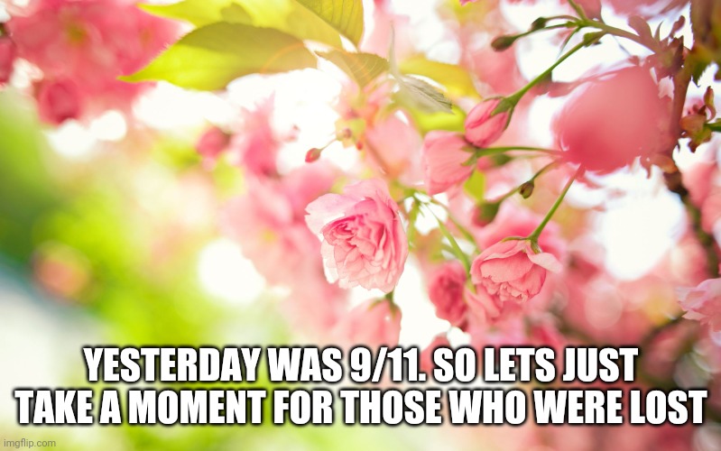 I know Im late, I got busy yesterday | YESTERDAY WAS 9/11. SO LETS JUST TAKE A MOMENT FOR THOSE WHO WERE LOST | image tagged in pretty pink flowers,9/11 truth movement,yesterday | made w/ Imgflip meme maker