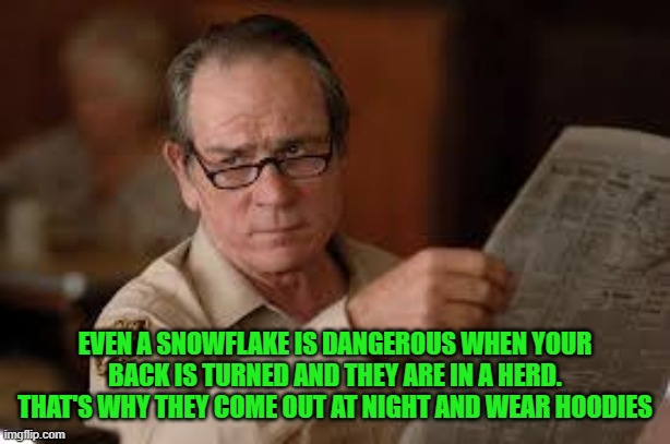 no country for old men tommy lee jones | EVEN A SNOWFLAKE IS DANGEROUS WHEN YOUR BACK IS TURNED AND THEY ARE IN A HERD. THAT'S WHY THEY COME OUT AT NIGHT AND WEAR HOODIES | image tagged in no country for old men tommy lee jones | made w/ Imgflip meme maker