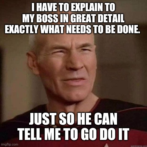 bad boss | I HAVE TO EXPLAIN TO MY BOSS IN GREAT DETAIL EXACTLY WHAT NEEDS TO BE DONE. JUST SO HE CAN TELL ME TO GO DO IT | image tagged in dafuq picard,funny,meme,memes,funny memes,work | made w/ Imgflip meme maker
