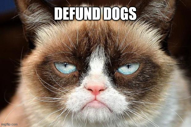 Grumpy Cat Not Amused | DEFUND DOGS | image tagged in memes,grumpy cat not amused,grumpy cat | made w/ Imgflip meme maker