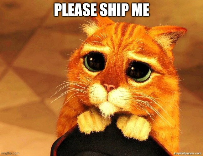 Puss in Boots Shrek cat begging | PLEASE SHIP ME | image tagged in puss in boots shrek cat begging | made w/ Imgflip meme maker