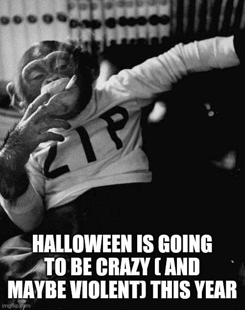 smoking monkey  | HALLOWEEN IS GOING TO BE CRAZY ( AND MAYBE VIOLENT) THIS YEAR | image tagged in smoking monkey | made w/ Imgflip meme maker
