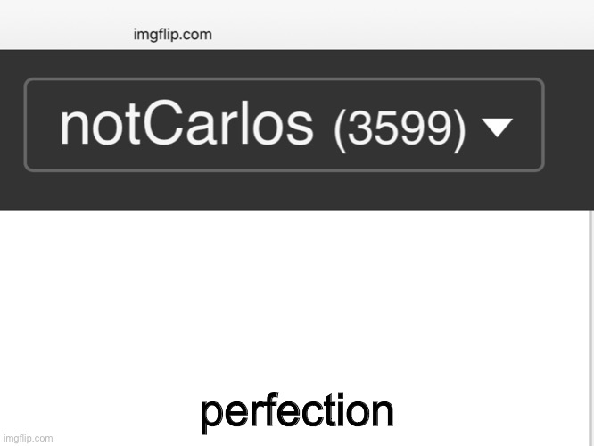 perfection | made w/ Imgflip meme maker