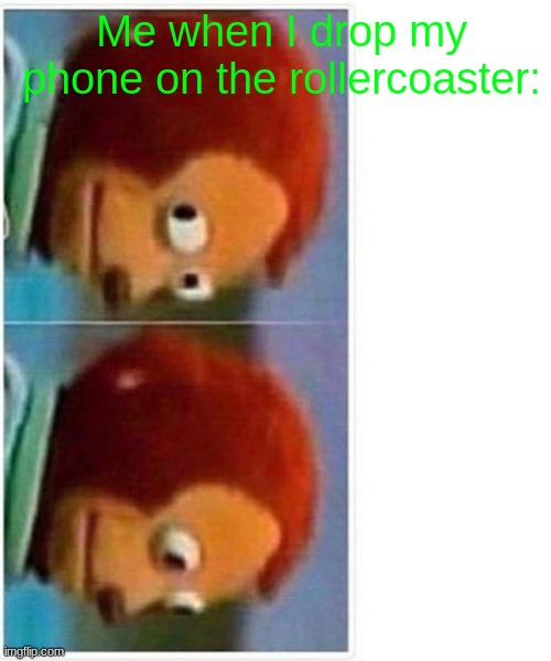 Haha funny -_- |  Me when I drop my phone on the rollercoaster: | image tagged in memes,monkey puppet,rollercoaster,funny | made w/ Imgflip meme maker