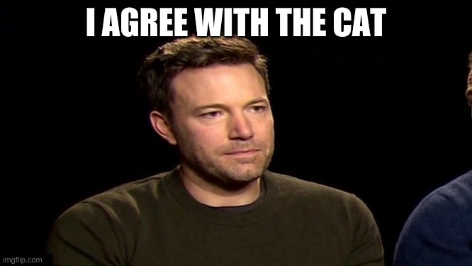 I Agree | I AGREE WITH THE CAT | image tagged in i agree | made w/ Imgflip meme maker