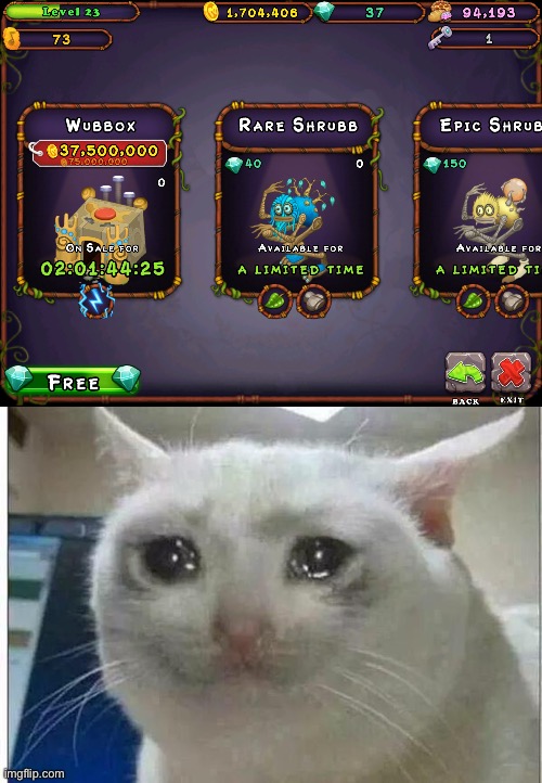 why 75,000,000 coins though ? | image tagged in crying cat | made w/ Imgflip meme maker