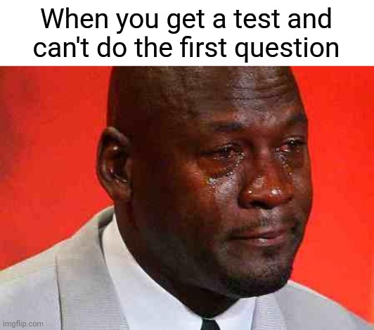Relatable meme.exe | When you get a test and can't do the first question | image tagged in crying michael jordan,memes,tests,school | made w/ Imgflip meme maker