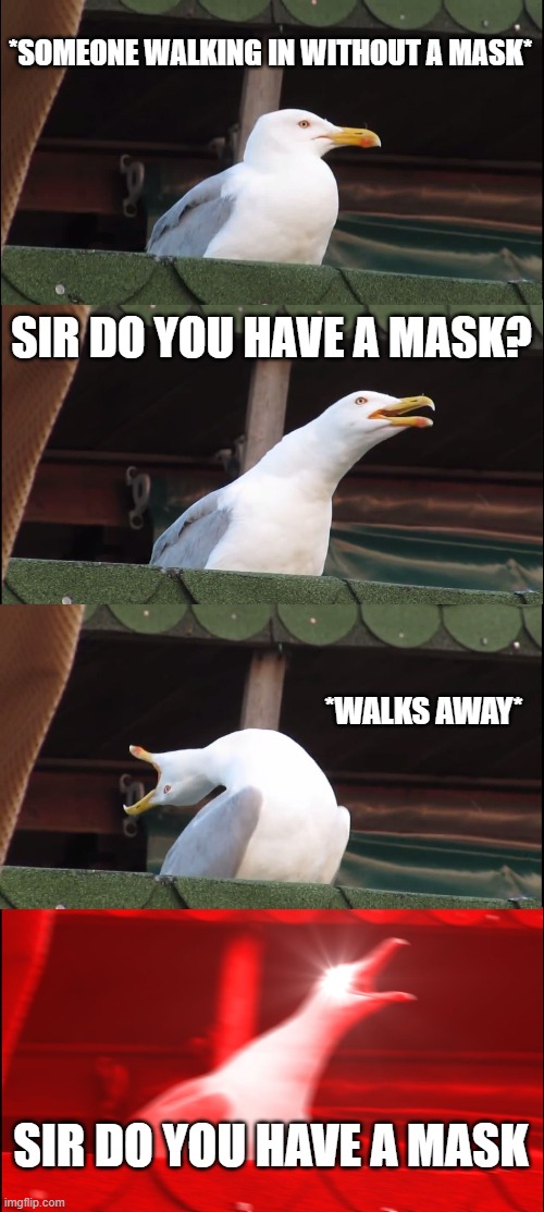Inhaling Seagull | *SOMEONE WALKING IN WITHOUT A MASK*; SIR DO YOU HAVE A MASK? *WALKS AWAY*; SIR DO YOU HAVE A MASK | image tagged in memes,inhaling seagull | made w/ Imgflip meme maker