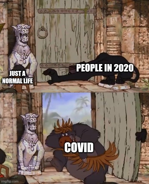 Jungle Book | PEOPLE IN 2020; JUST A NORMAL LIFE; COVID | image tagged in jungle book | made w/ Imgflip meme maker