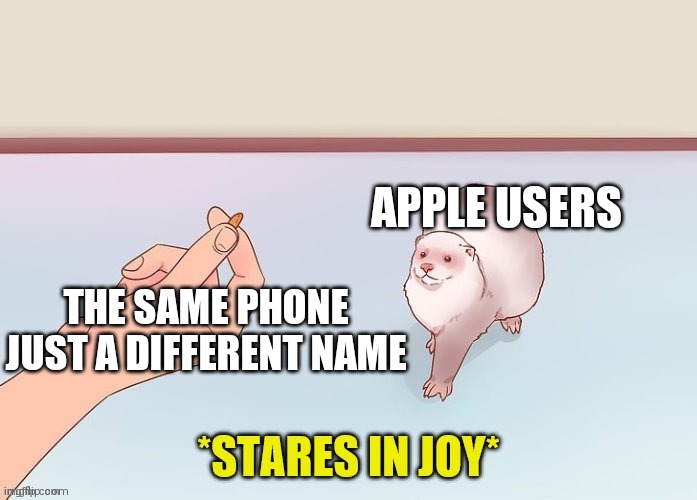 the stare of joy | APPLE USERS; THE SAME PHONE JUST A DIFFERENT NAME | image tagged in the stare of joy | made w/ Imgflip meme maker