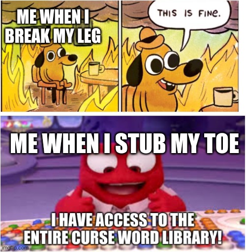 ME WHEN I BREAK MY LEG; ME WHEN I STUB MY TOE | image tagged in this is fine,i have access to the entire curse world library | made w/ Imgflip meme maker