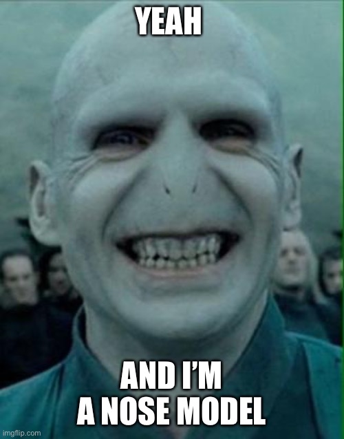 Voldemort Grin | YEAH AND I’M A NOSE MODEL | image tagged in voldemort grin | made w/ Imgflip meme maker