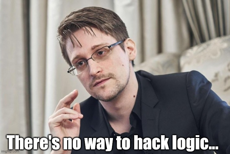 Logic... | There's no way to hack logic... | image tagged in snowden,edward snowden | made w/ Imgflip meme maker