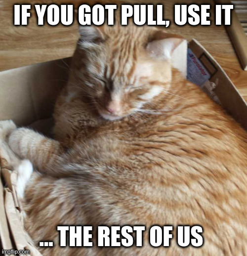 sleeping r***** | IF YOU GOT PULL, USE IT; ... THE REST OF US | image tagged in sleeping r | made w/ Imgflip meme maker