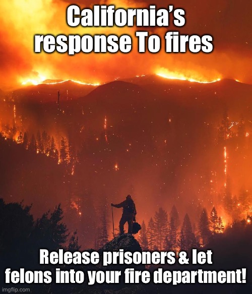 What could possibly go wrong? | California’s response To fires; Release prisoners & let felons into your fire department! | image tagged in california wildfire,prisoners,release felons,fire departments,unions | made w/ Imgflip meme maker