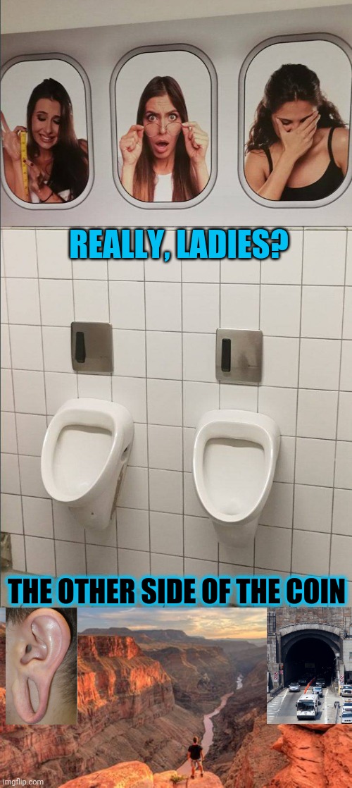 Stretched to the size of the Lincoln tunnel, and echoing like the Grand Canyon... | REALLY, LADIES? THE OTHER SIDE OF THE COIN | image tagged in pee pee wars | made w/ Imgflip meme maker