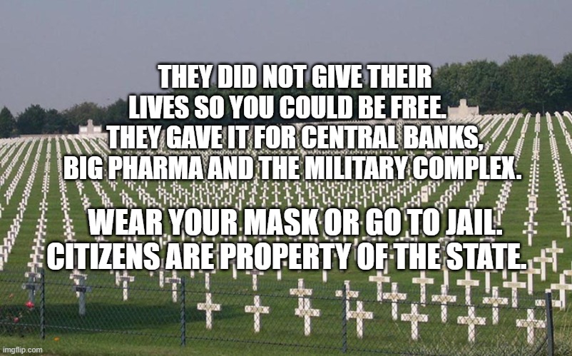 ww2 graves | THEY DID NOT GIVE THEIR LIVES SO YOU COULD BE FREE.    THEY GAVE IT FOR CENTRAL BANKS, BIG PHARMA AND THE MILITARY COMPLEX. WEAR YOUR MASK OR GO TO JAIL. CITIZENS ARE PROPERTY OF THE STATE. | image tagged in ww2 graves | made w/ Imgflip meme maker