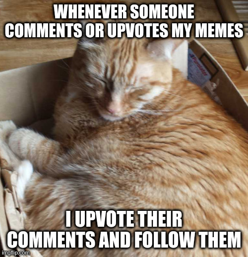 this is information not upvote begging | WHENEVER SOMEONE COMMENTS OR UPVOTES MY MEMES; I UPVOTE THEIR COMMENTS AND FOLLOW THEM | image tagged in sleeping r,upvote begging | made w/ Imgflip meme maker