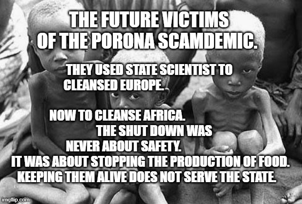 starving africans | THE FUTURE VICTIMS OF THE PORONA SCAMDEMIC. THEY USED STATE SCIENTIST TO CLEANSED EUROPE.                                                                        
       NOW TO CLEANSE AFRICA.                                 
    THE SHUT DOWN WAS NEVER ABOUT SAFETY.                     
  IT WAS ABOUT STOPPING THE PRODUCTION OF FOOD.       KEEPING THEM ALIVE DOES NOT SERVE THE STATE. | image tagged in starving africans | made w/ Imgflip meme maker