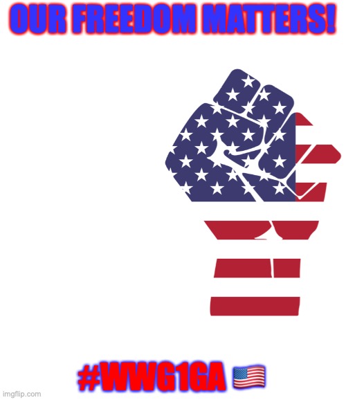 OUR FREEDOM MATTERS! #WWG1GA 🇺🇸 | image tagged in conservatives,politics,political humor,qanon,donald trump | made w/ Imgflip meme maker