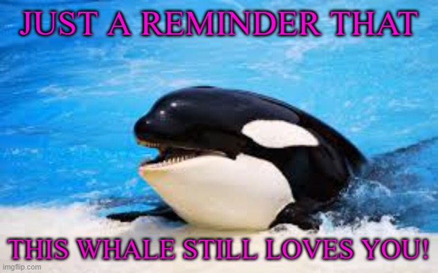 my way of saying i like whales | JUST A REMINDER THAT; THIS WHALE STILL LOVES YOU! | image tagged in inspirational quote | made w/ Imgflip meme maker