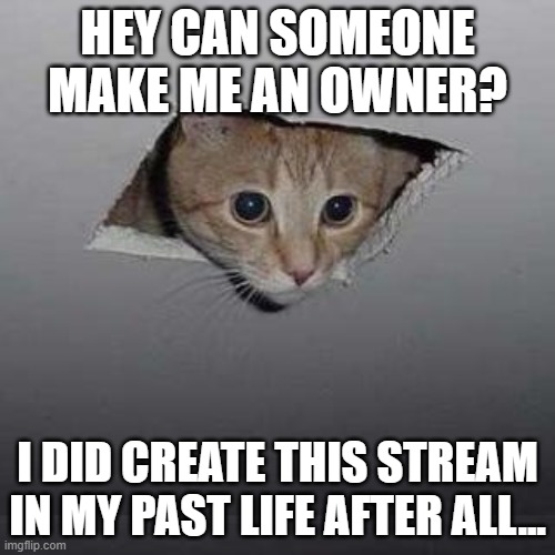 Ceiling Cat Meme | HEY CAN SOMEONE MAKE ME AN OWNER? I DID CREATE THIS STREAM IN MY PAST LIFE AFTER ALL... | image tagged in memes,ceiling cat | made w/ Imgflip meme maker