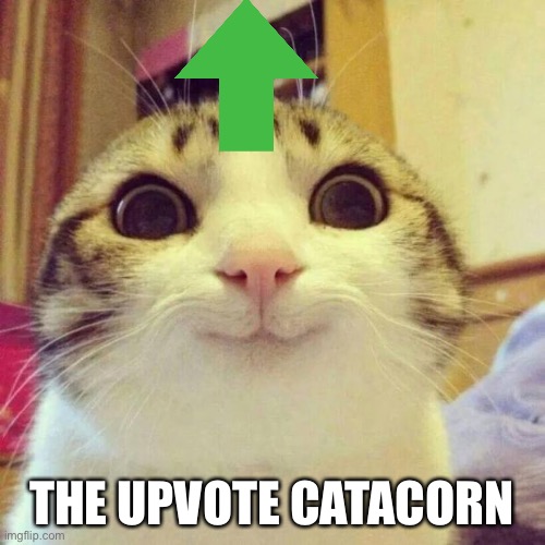 Smiling Cat Meme | THE UPVOTE CATACORN | image tagged in memes,smiling cat | made w/ Imgflip meme maker
