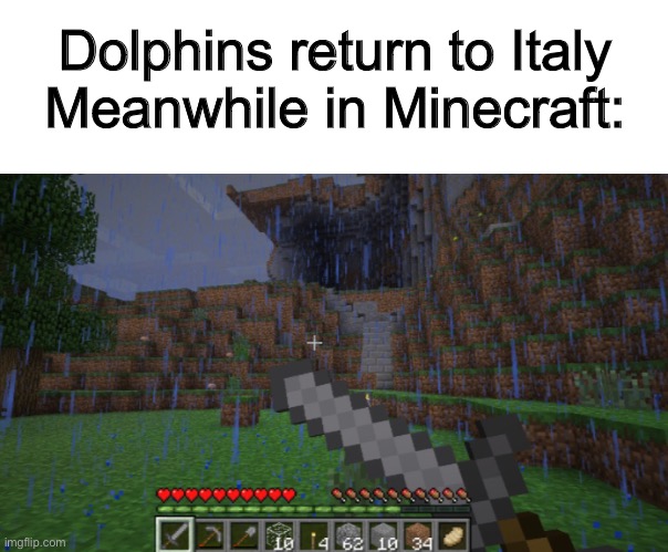 Sword Blocking | Dolphins return to Italy
Meanwhile in Minecraft: | image tagged in dolphins,return,meanwhile in,minecraft,sword | made w/ Imgflip meme maker