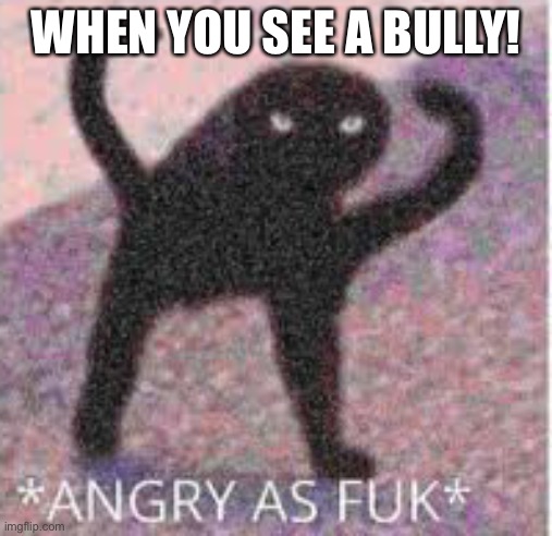 *ANGRY AS FUK* | WHEN YOU SEE A BULLY! | image tagged in angry as fuk | made w/ Imgflip meme maker
