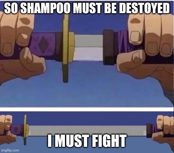 sword | SO SHAMPOO MUST BE DESTOYED I MUST FIGHT | image tagged in sword | made w/ Imgflip meme maker