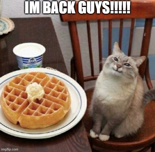 Cat likes their waffle | IM BACK GUYS!!!!! | image tagged in cat likes their waffle,breaking news | made w/ Imgflip meme maker