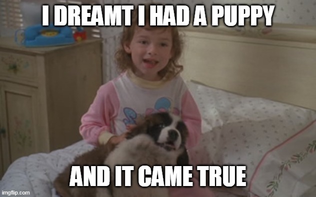 I dreamt I had a puppy, and it came true | I DREAMT I HAD A PUPPY; AND IT CAME TRUE | image tagged in and it came true,memes,emily newton,beethoven | made w/ Imgflip meme maker