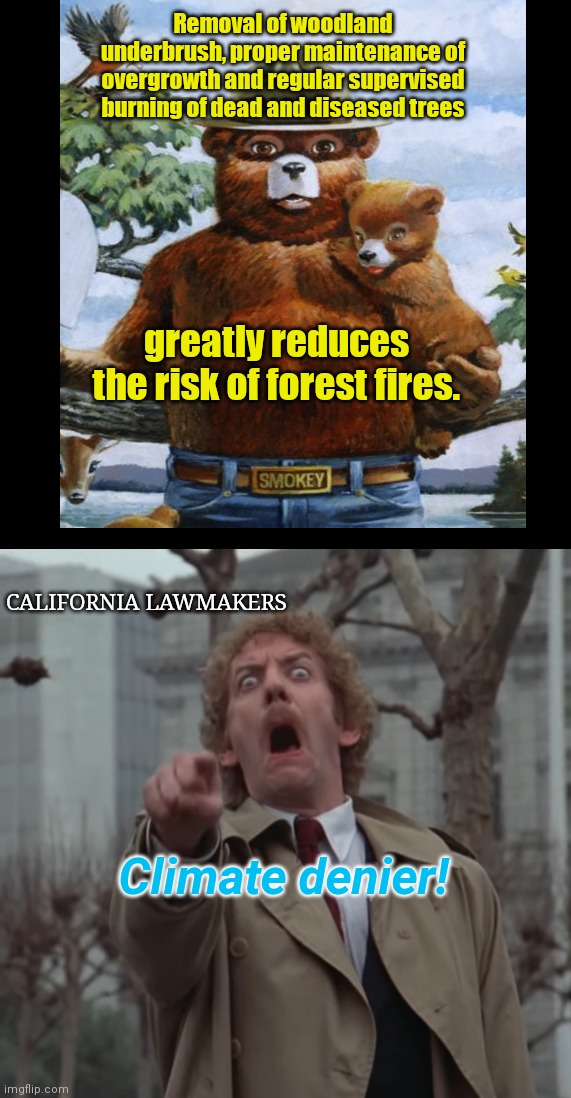Killing themselves in California | Removal of woodland underbrush, proper maintenance of overgrowth and regular supervised burning of dead and diseased trees; greatly reduces the risk of forest fires. CALIFORNIA LAWMAKERS; Climate denier! | image tagged in invasion of the body snatchers,california fires,environmentalist fanatics,stupid liberals,smokey the bear | made w/ Imgflip meme maker