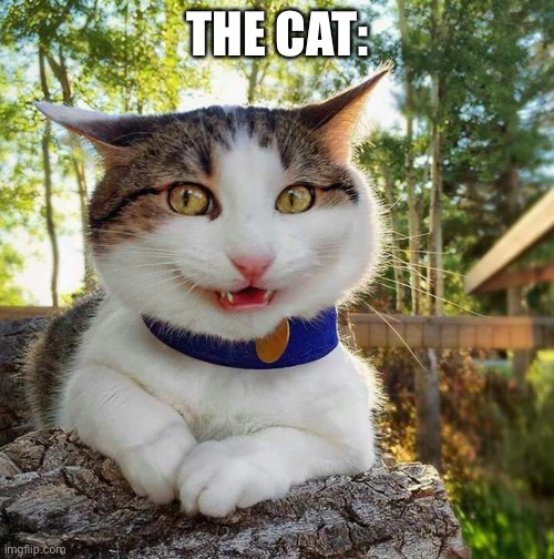 Smiling Cat | THE CAT: | image tagged in smiling cat | made w/ Imgflip meme maker