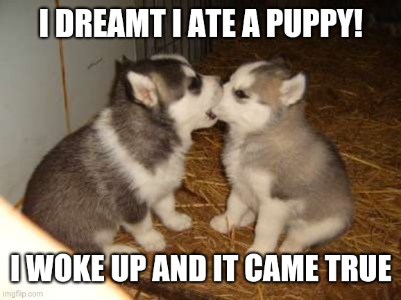 Cute Puppies Meme | I DREAMT I ATE A PUPPY! I WOKE UP AND IT CAME TRUE | image tagged in memes,cute puppies | made w/ Imgflip meme maker