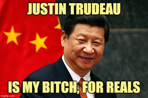 Xi Jinping | JUSTIN TRUDEAU IS MY BITCH, FOR REALS | image tagged in xi jinping | made w/ Imgflip meme maker