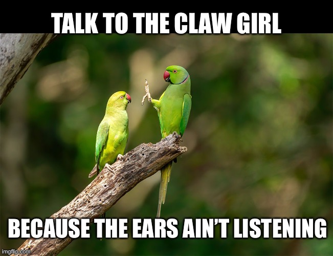 Talk to the Claw | TALK TO THE CLAW GIRL; BECAUSE THE EARS AIN’T LISTENING | image tagged in funny memes,birds,talk to the hand | made w/ Imgflip meme maker