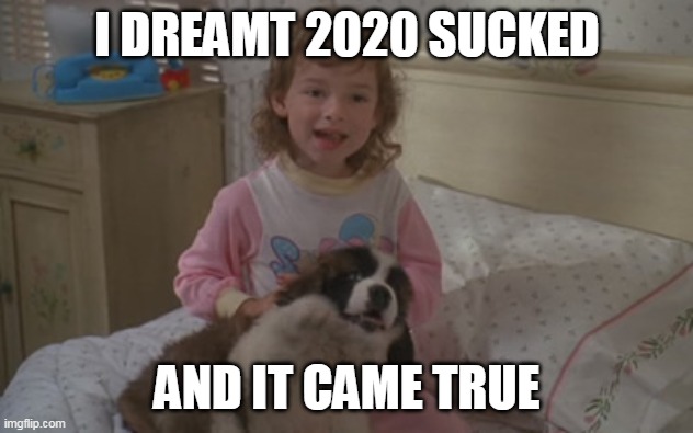I dreamt 2020 sucked, and it came true | I DREAMT 2020 SUCKED; AND IT CAME TRUE | image tagged in and it came true,memes,emily newton,beethoven,2020 | made w/ Imgflip meme maker