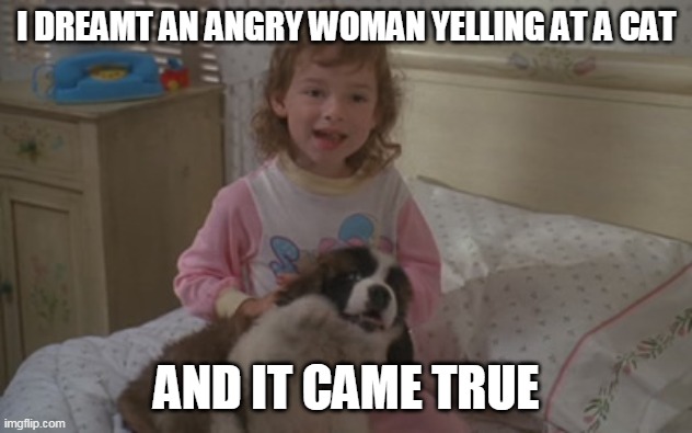 I dreamt an angry woman yelling at a cat, and it came true | I DREAMT AN ANGRY WOMAN YELLING AT A CAT; AND IT CAME TRUE | image tagged in and it came true,memes,emily newton,beethoven | made w/ Imgflip meme maker