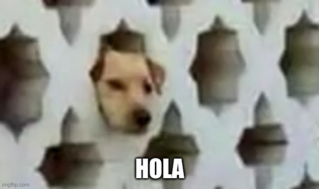 This is a brand new meme and a picture that needs to be known... | HOLA | image tagged in hola dog | made w/ Imgflip meme maker