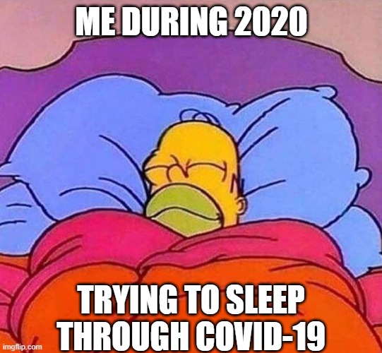 Homer Simpson sleeping peacefully | ME DURING 2020; TRYING TO SLEEP THROUGH COVID-19 | image tagged in homer simpson sleeping peacefully | made w/ Imgflip meme maker