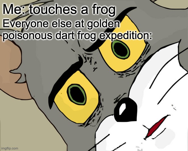 Unsettled Tom Meme | Me: touches a frog; Everyone else at golden poisonous dart frog expedition: | image tagged in memes,unsettled tom | made w/ Imgflip meme maker