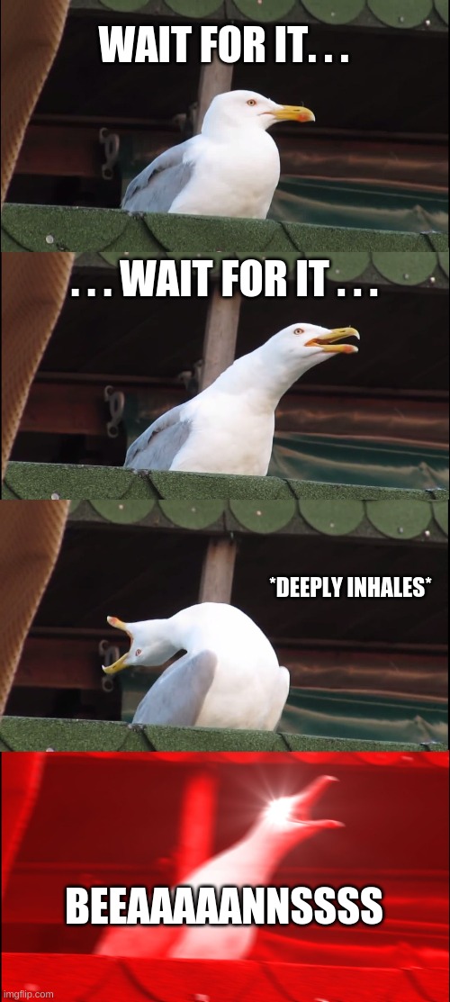 Inhaling Seagull | WAIT FOR IT. . . . . . WAIT FOR IT . . . *DEEPLY INHALES*; BEEAAAAANNSSSS | image tagged in memes,inhaling seagull | made w/ Imgflip meme maker