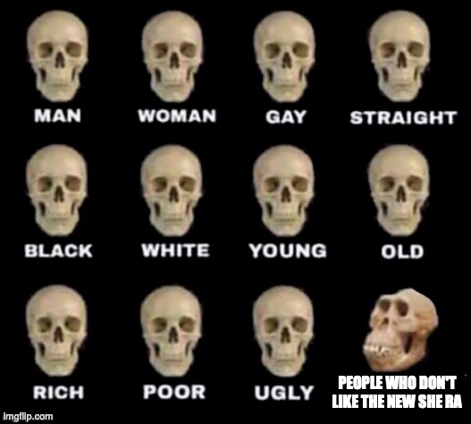 idiot skull | PEOPLE WHO DON'T LIKE THE NEW SHE RA | image tagged in idiot skull | made w/ Imgflip meme maker
