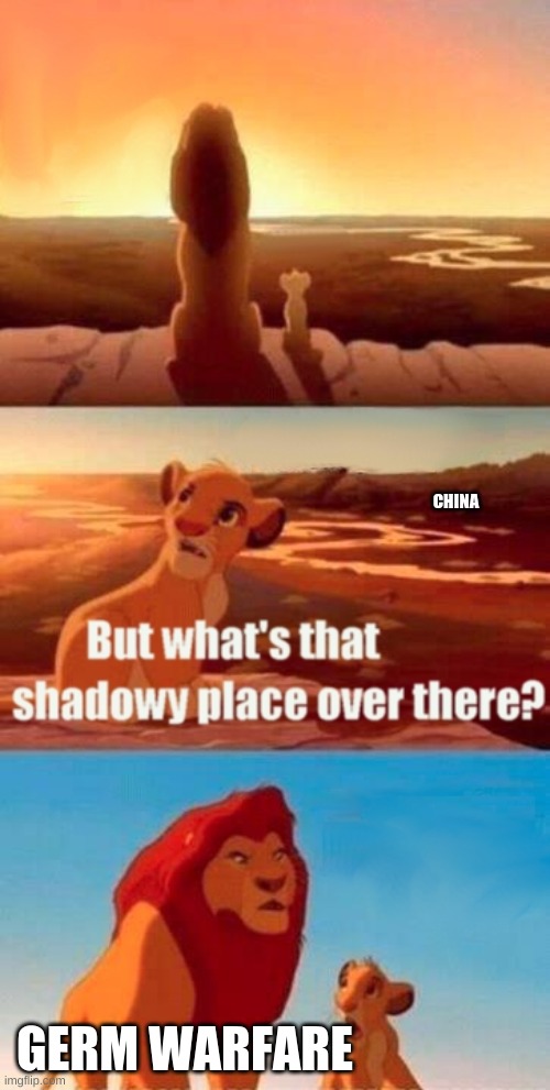 Simba Shadowy Place Meme | CHINA; GERM WARFARE | image tagged in memes,simba shadowy place | made w/ Imgflip meme maker