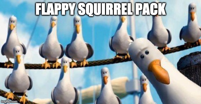 Nemo Birds | FLAPPY SQUIRREL PACK | image tagged in nemo birds | made w/ Imgflip meme maker