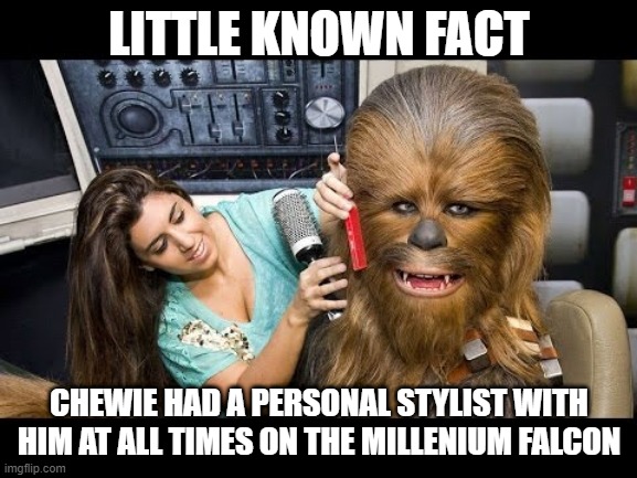 Had to Look His Best | LITTLE KNOWN FACT; CHEWIE HAD A PERSONAL STYLIST WITH HIM AT ALL TIMES ON THE MILLENIUM FALCON | image tagged in memes star wars chewbacca | made w/ Imgflip meme maker